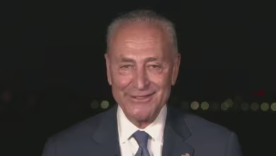 Watch Chuck Schumer’s full speech at the 2020 DNC