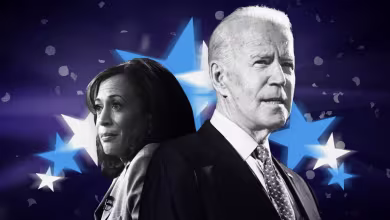 Democrats line up behind Joe Biden on DNC's final dramatic night