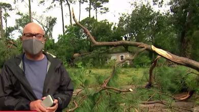Texas, Louisiana assess damage of Hurricane Laura