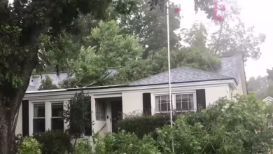 Homes affected by downed trees as Hurricane Laura strikes Louisiana