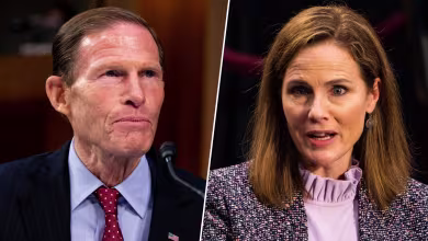 Barrett on courts deciding elections: 'The Supreme Court doesn't cast ballots'