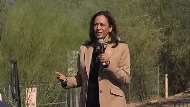 Harris takes aim at Trump's handling of Covid-19: 'It didn't have to be this bad'