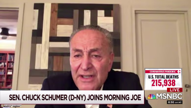 Sen. Schumer: GOP is rushing SCOTUS nomination through