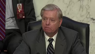 Tech issues prevent professor from speaking at Amy Coney Barrett's confirmation hearing