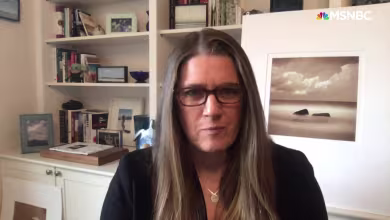 'It is such a relief': Mary Trump reacts as Biden projected to be president-elect