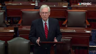 McConnell: Trump is 'within his rights' to look into election 'irregularities'