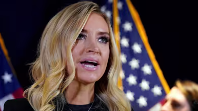 Fox News cuts away from McEnany's baseless claims of voter fraud