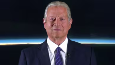 Al Gore: Count every ballot, 'obey the will of the American people'