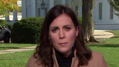 Trump releases statement calling for 'full transparency' as nation awaits election results