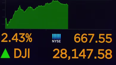 Why is stock market surging amid election uncertainty?