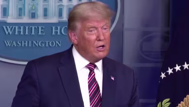 ‘What Trump is doing is not normal’: Historians weigh in on White House post-election response