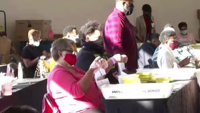 Georgia gets set for hand recount of presidential ballots