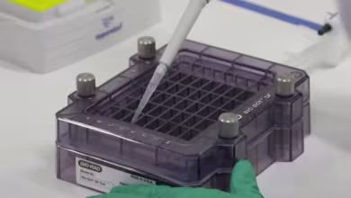 How soon could the FDA approve a COVID-19 vaccine?