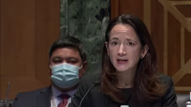 DNI nominee Avril Haines: Intelligence is 'no place for politics ever'