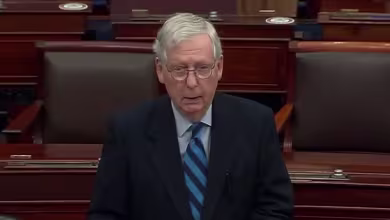 McConnell: Capitol rioters were 'fed lies' and 'provoked by the president'