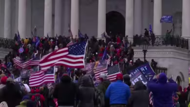 What role did online misinformation play in pro-Trump riots at the Capitol?