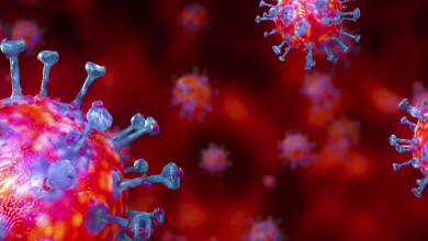 Cases of South Africa Covid variant detected in U.S.