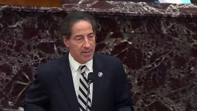 Raskin compares Trump's comments on protests in Michigan to the Capitol riot