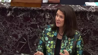 DeGette: Rioters waited on 'Trump's instructions' for Biden's inauguration