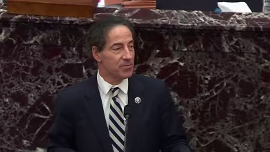 Raskin warns acquitting Trump would 'set a new terrible standard for presidential misconduct'