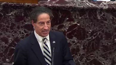 Raskin makes closing argument for conviction: 'This is a trial on the facts of what happened'