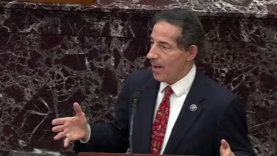 'Bring your client up here': Raskin calls on Trump's defense team to have him testify