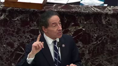 Raskin compares Trump’s actions on January 6 to ‘lighting a fire’ in closing argument
