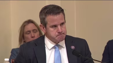 Rep. Kinzinger grows emotional after hearing testimony from officers on Capitol riot