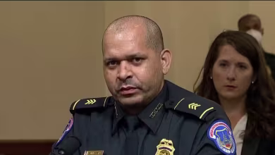 Sgt. Gonell characterizes Capitol riot as an 'attempted coup'