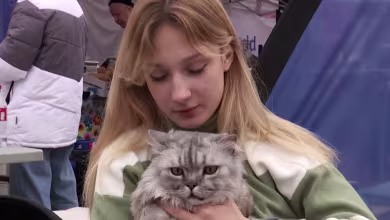 Ukrainian teen refugee credits her cat for keeping her safe