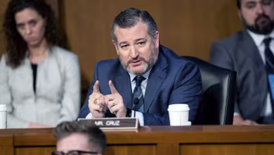 Cruz questions Judge Jackson on critical race theory during confirmation hearing