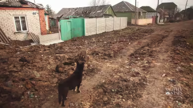 Ukraine takes back village outside Kharkiv from Russian soldiers