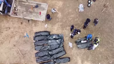 What exactly constitutes 'genocide'?