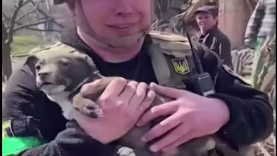 Watch: Rescuers pull puppy from rubble of destroyed house in eastern Ukraine