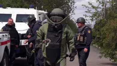 Ukrainian demining unit in Donetsk detonate Russian explosives