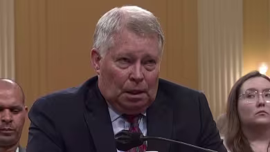 Luttig says Constitution, U.S. laws did not support VP counting ‘alternative electoral slates’