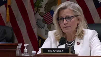 Cheney highlights evidence Trump pressured DOJ officials to overturn election in hearing opening