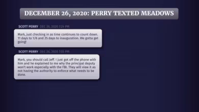 Committee shows texts between Perry and Meadows about elevating Clark