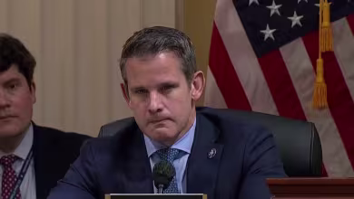 Jan. 6 committee plays testimony on which Republican lawmakers requested pardons