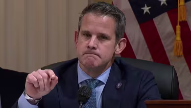 Kinzinger: 'Allegation of a stolen election was a lie'