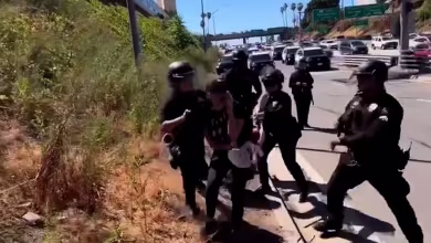 Actress Jodie Sweetin thrown to ground by police during abortion rights protest