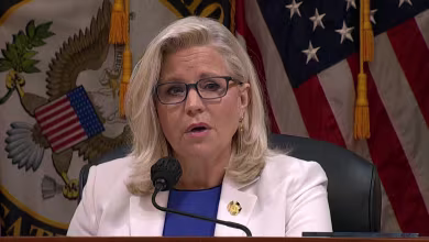 Rep. Liz Cheney claims Trump made purposeful choice to violate oath of office