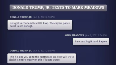 Committee shows Jan. 6 texts to Meadows from Don Jr., Fox News hosts