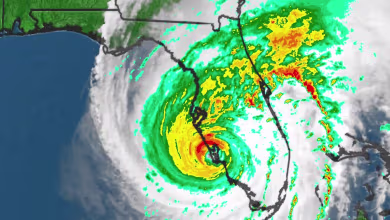 Hurricane Ian makes landfall in Florida