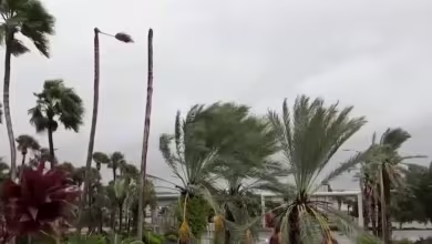 Orlando residents hunker down as Hurricane Ian hits area