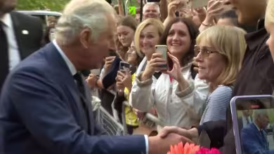 ‘God save the King!’: Enthusiastic crowds greet Charles near Buckingham Palace