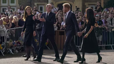 Watch: Princes William and Harry on joint walkabout to meet crowds at Windsor