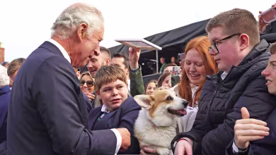 King Charles III greets pet corgi while meeting mourners in Belfast
