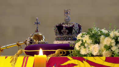 Queen’s grandchildren hold vigil at coffin in Westminster Hall