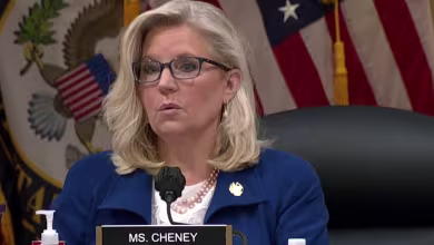 Cheney on Jan. 6: 'None of this would have happened' without Trump